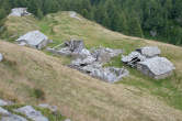 20120814_183344 Colvedro.jpg